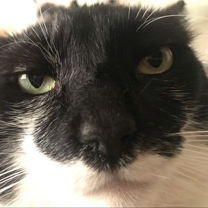 Meet your Posher, Nancy